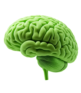 Neuropeptides
