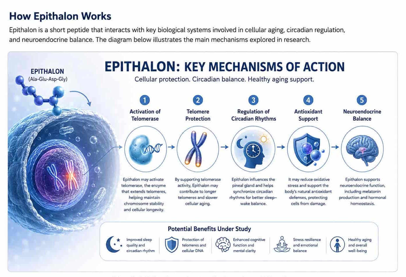 epitalon